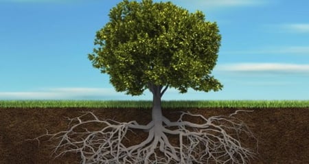 Root Cause