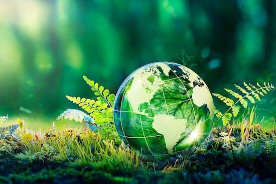 sustainability-main